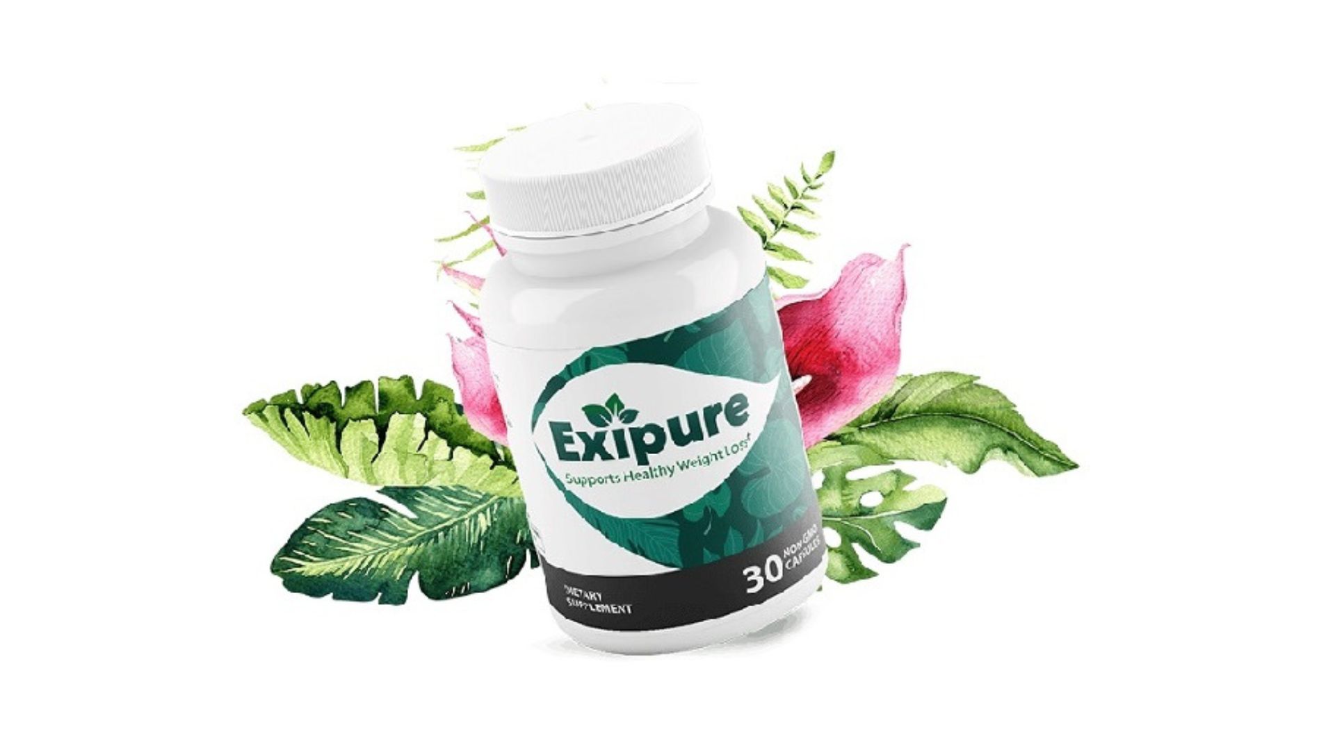 Exipure Reviews, Ingredients, Weight Loss Pills and How it Works?