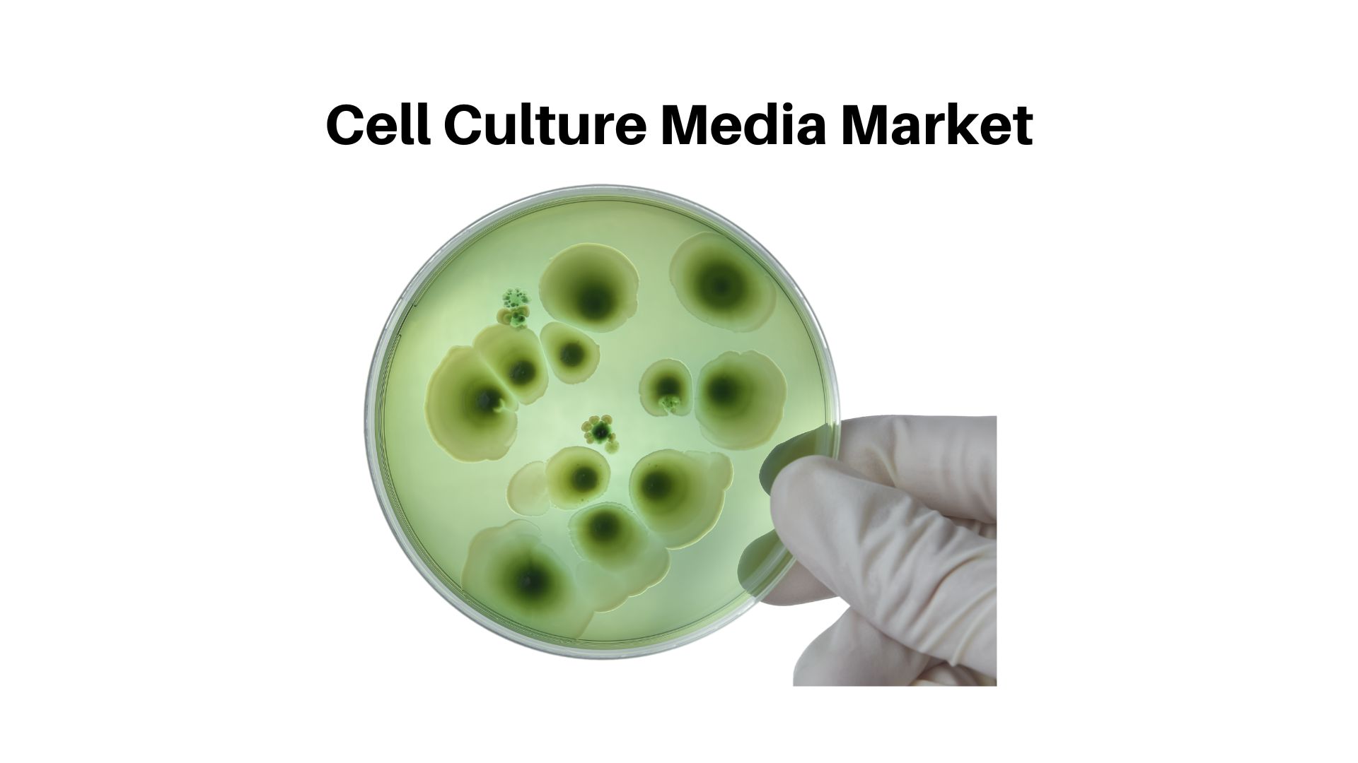 Cell Culture Media Market is estimated to be worth USD 2.32 Bn in 2032