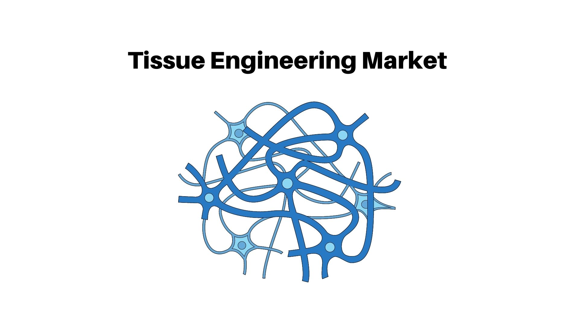 Tissue Engineering Market To Develop Speedily With CAGR Of 11.45% By 2032