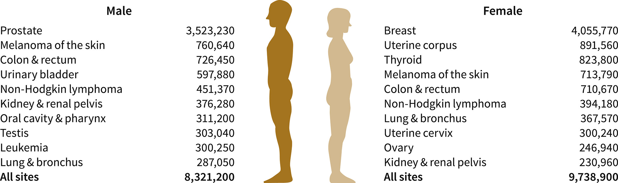 Male Female cancer survivors 