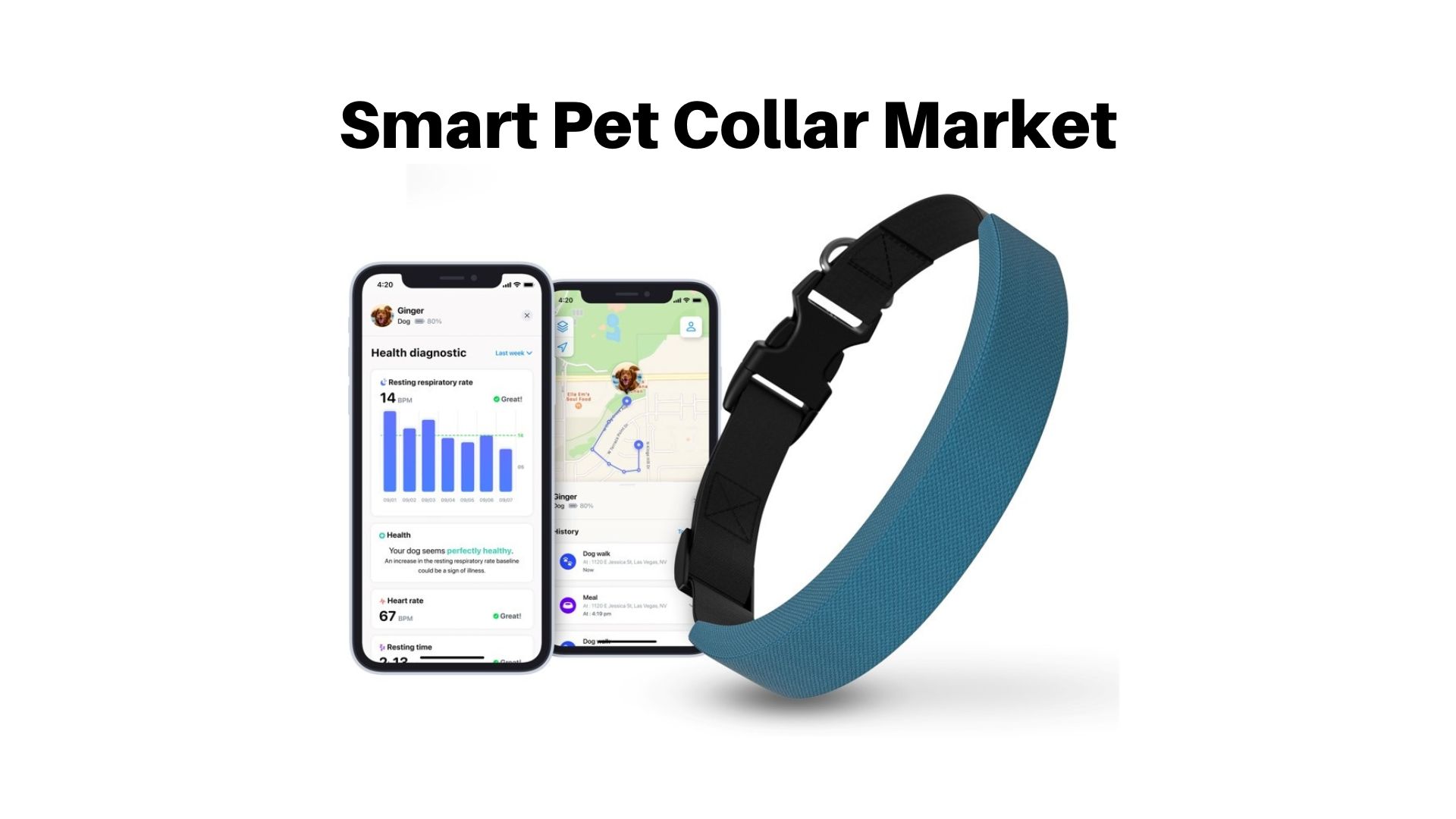 Smart Pet Collar Market Growing at a CAGR of 10% Which Revolutionizing the Pet Care Industry
