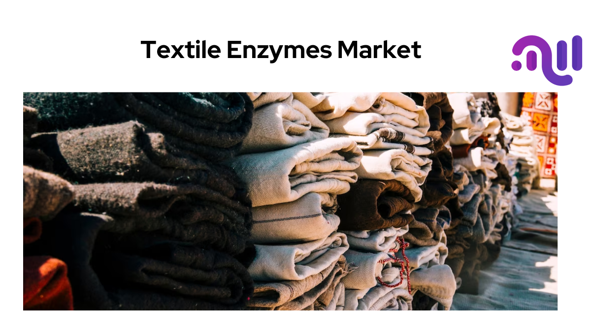 Textile Enzymes Market Size to hit USD 801.3 Mn, Globally by 2032, At a CAGR of 5.2% | According To Market.us