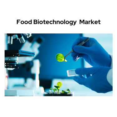 Food Biotechnology Market With Size Growing at Size 103 Bn by 2032 || CAGR of 10.00%