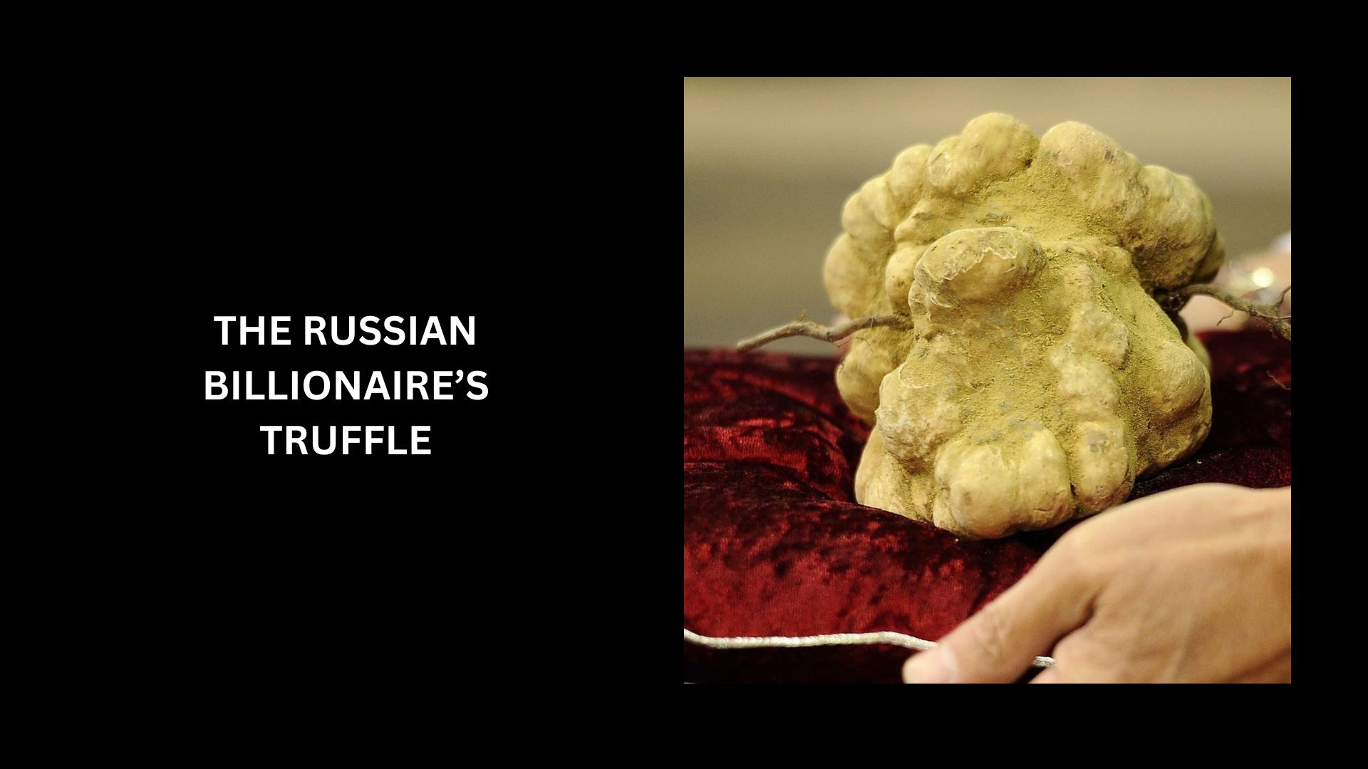 Top 10 Most Expensive Truffles In The World (2023 Updated)