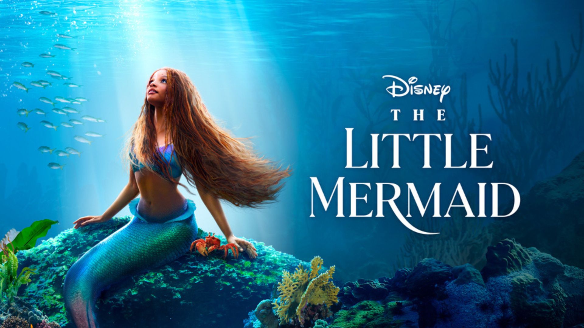 The Little Mermaid Review 2023