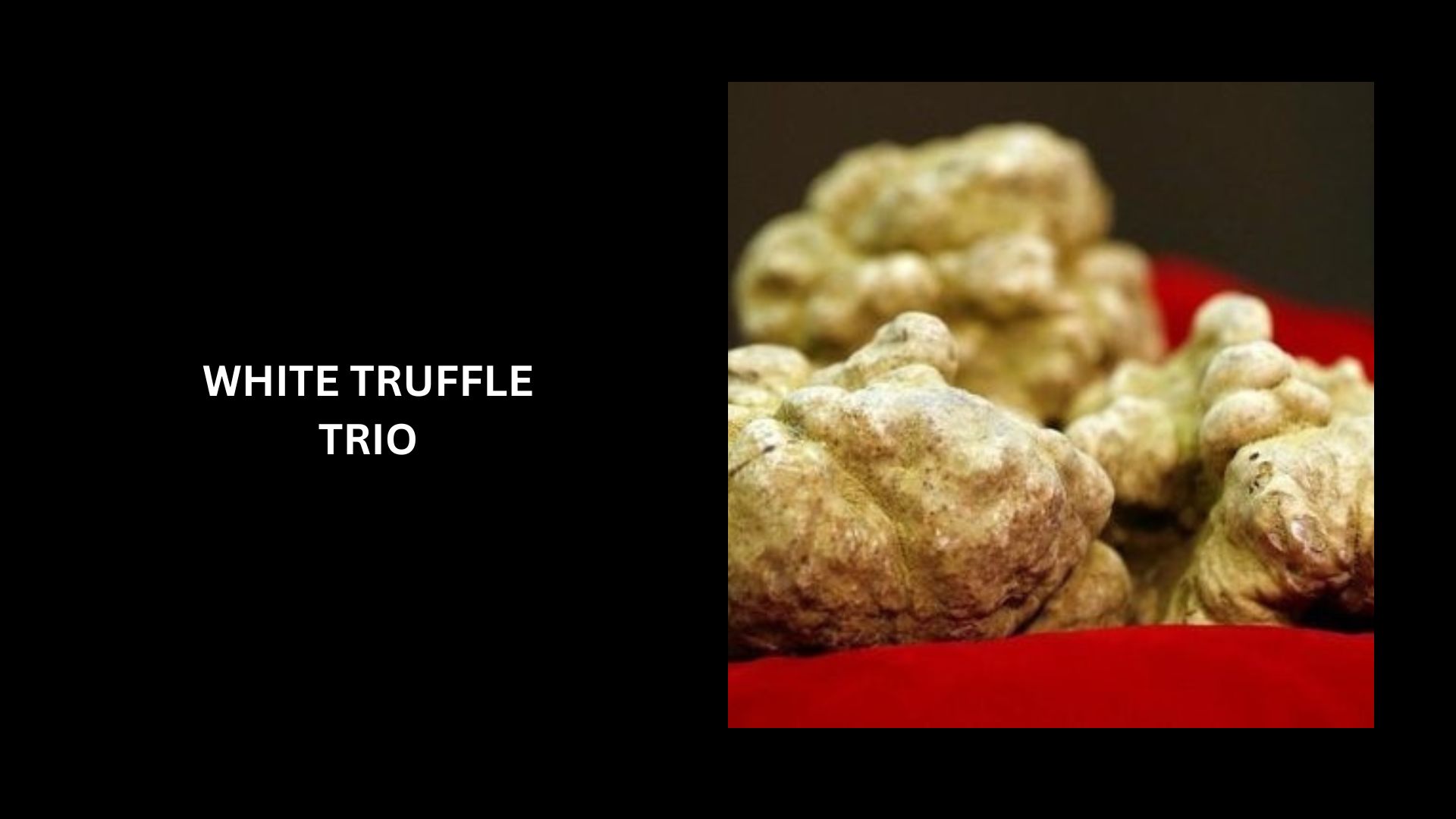 Top 10 Most Expensive Truffles In The World (2023 Updated)