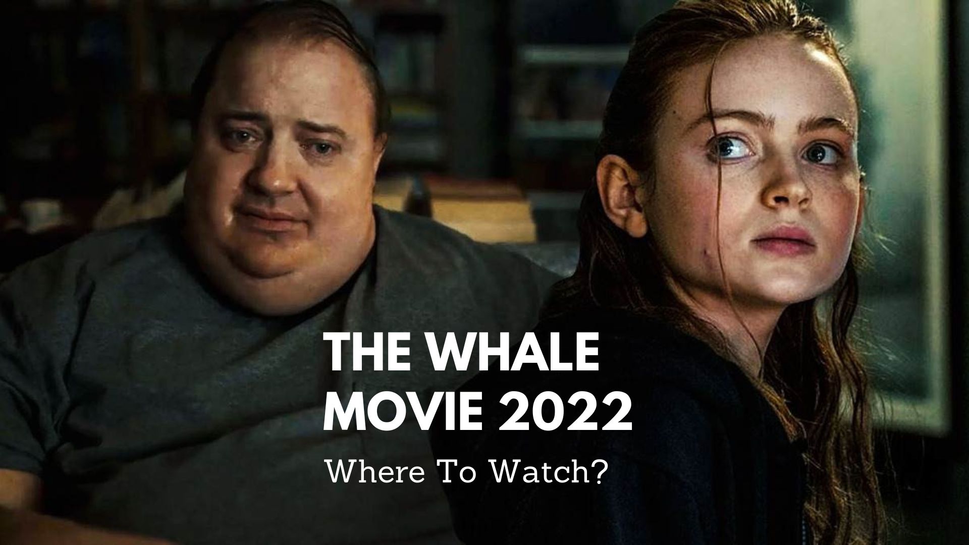 Where To Watch The Whale Movie?