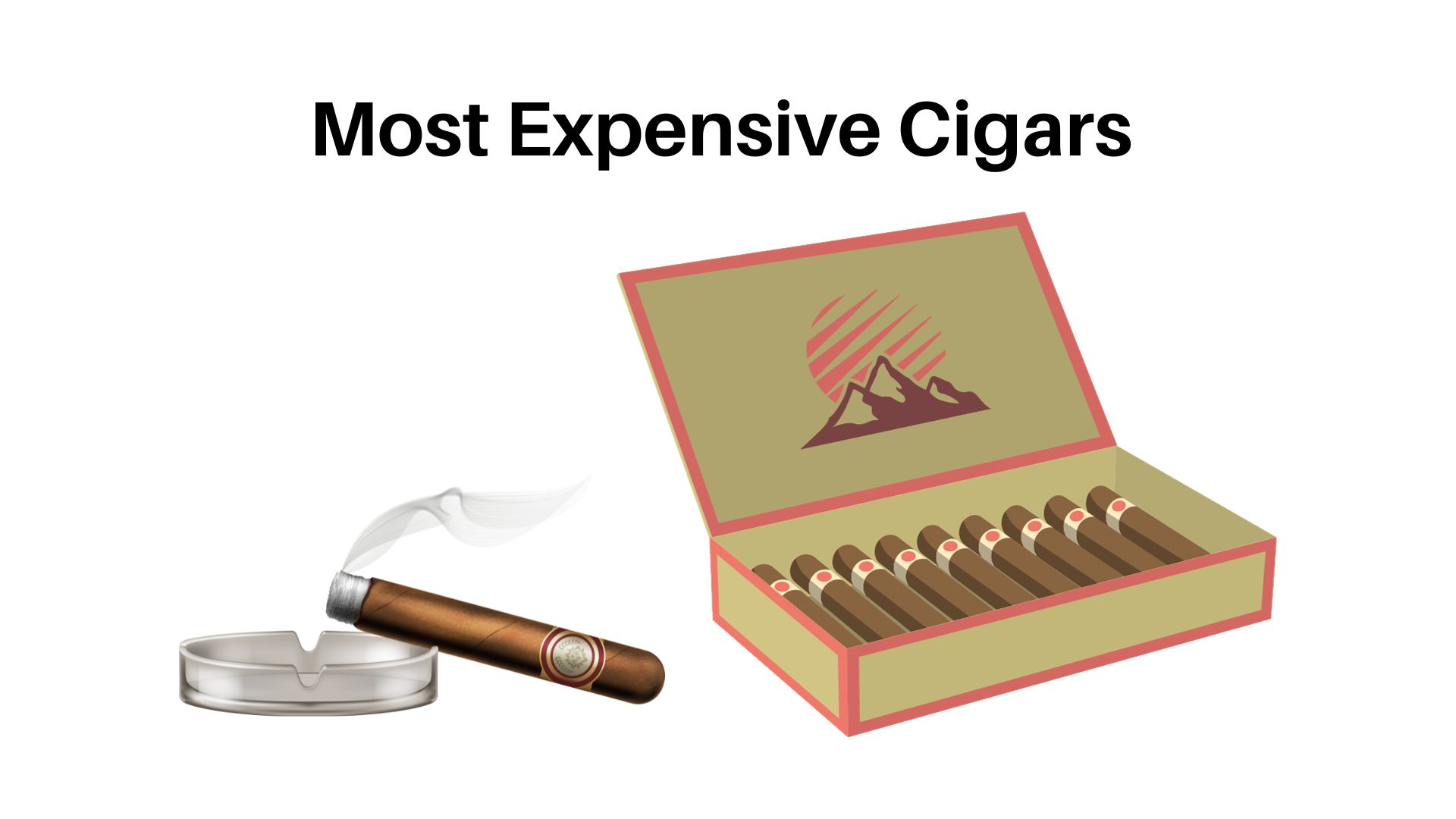 Top 10 Most Expensive Cigars In The World