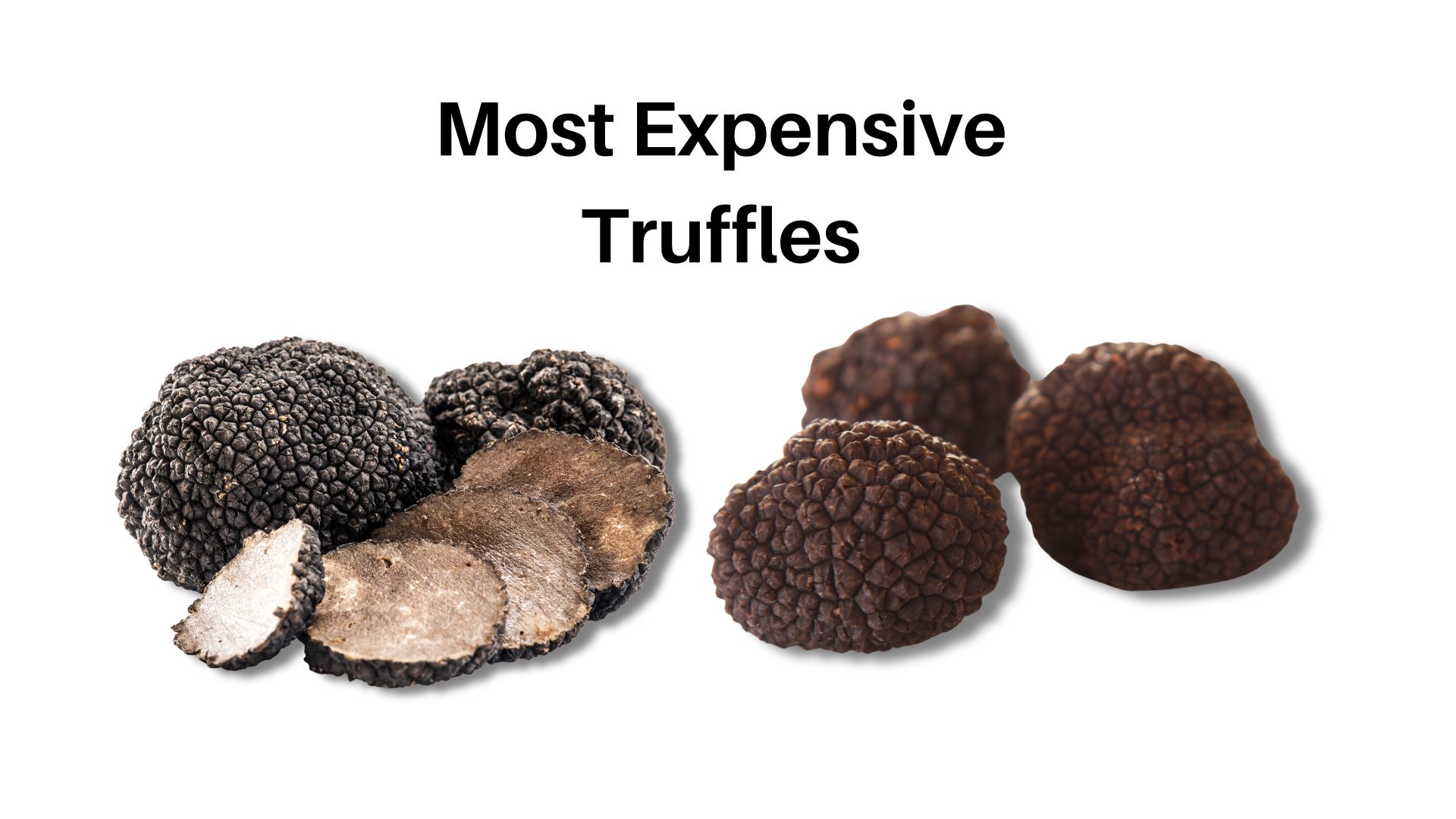 Top 10 Most Expensive Truffles In The World