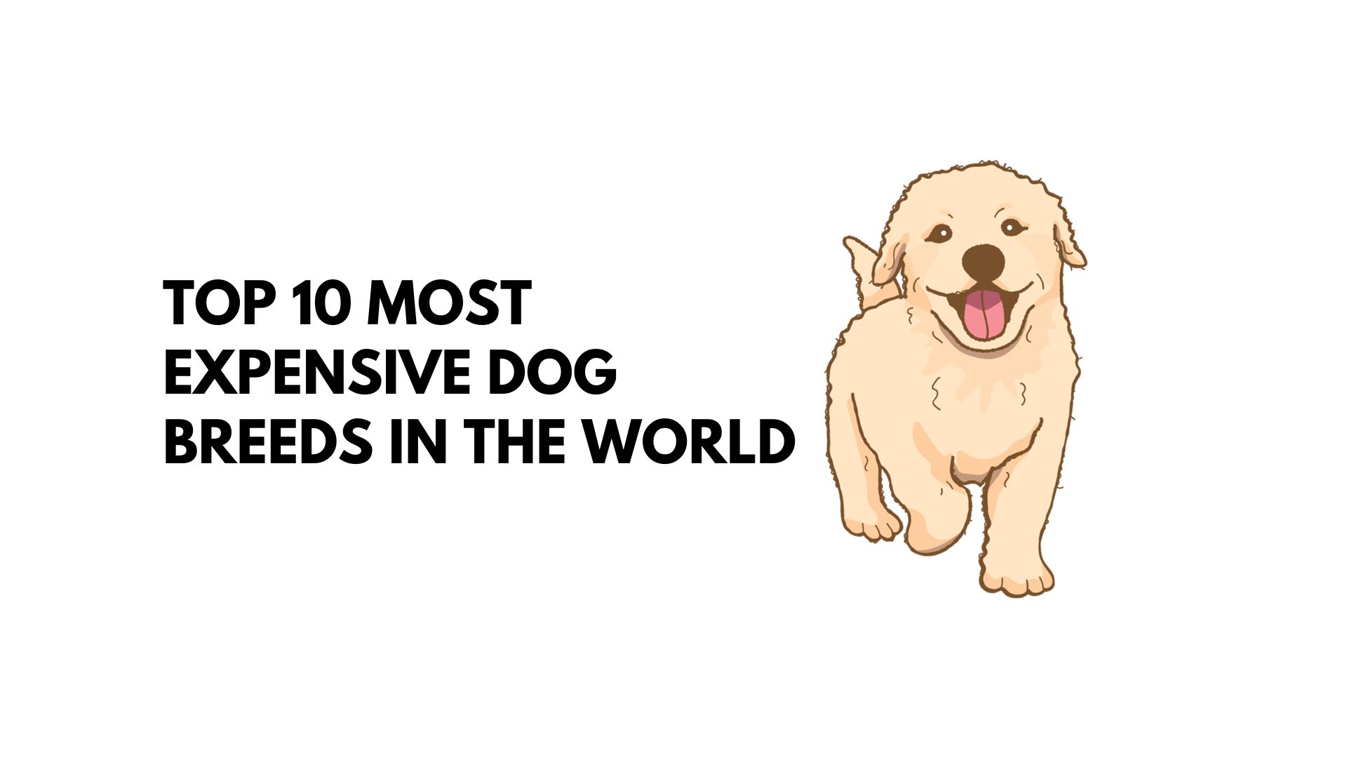 Top 10 Most Expensive Dog Breeds in the World