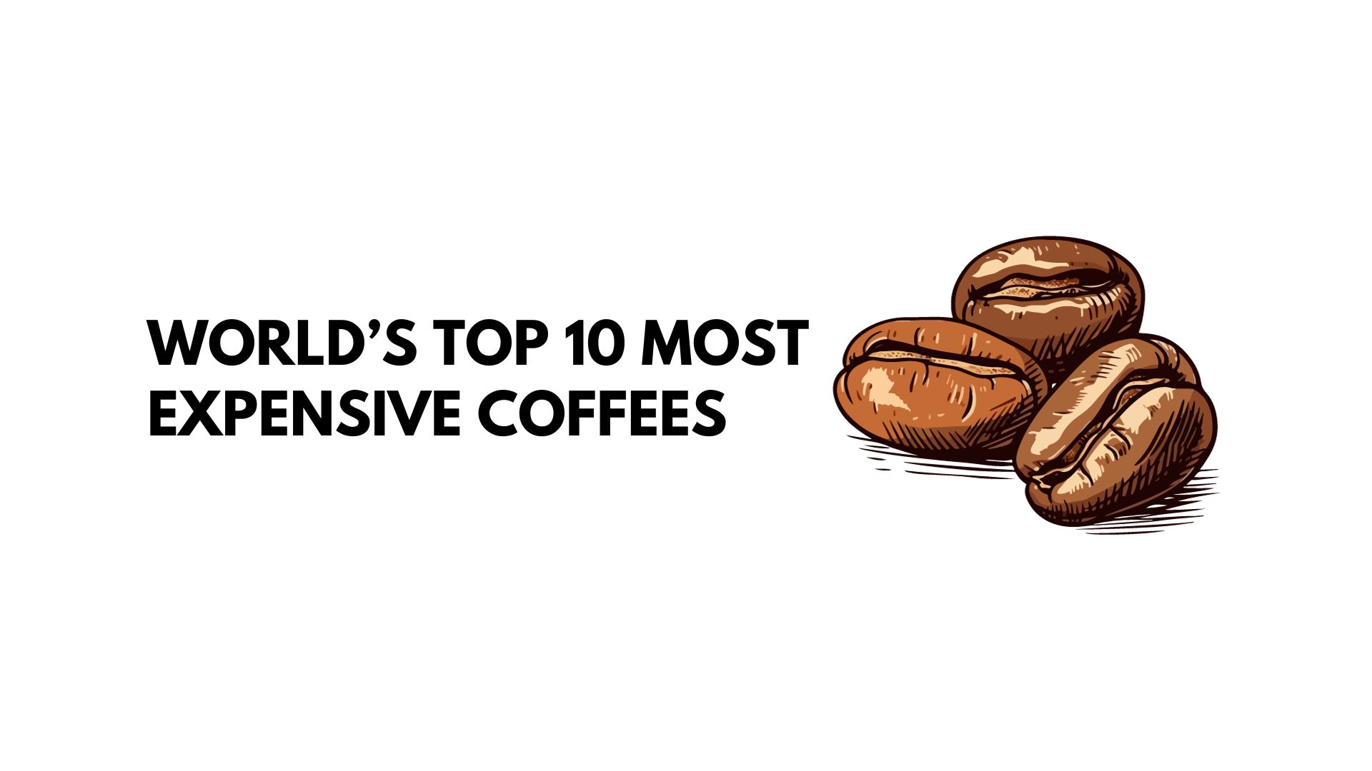 Top 10 Most Expensive Coffee in the World (2023)