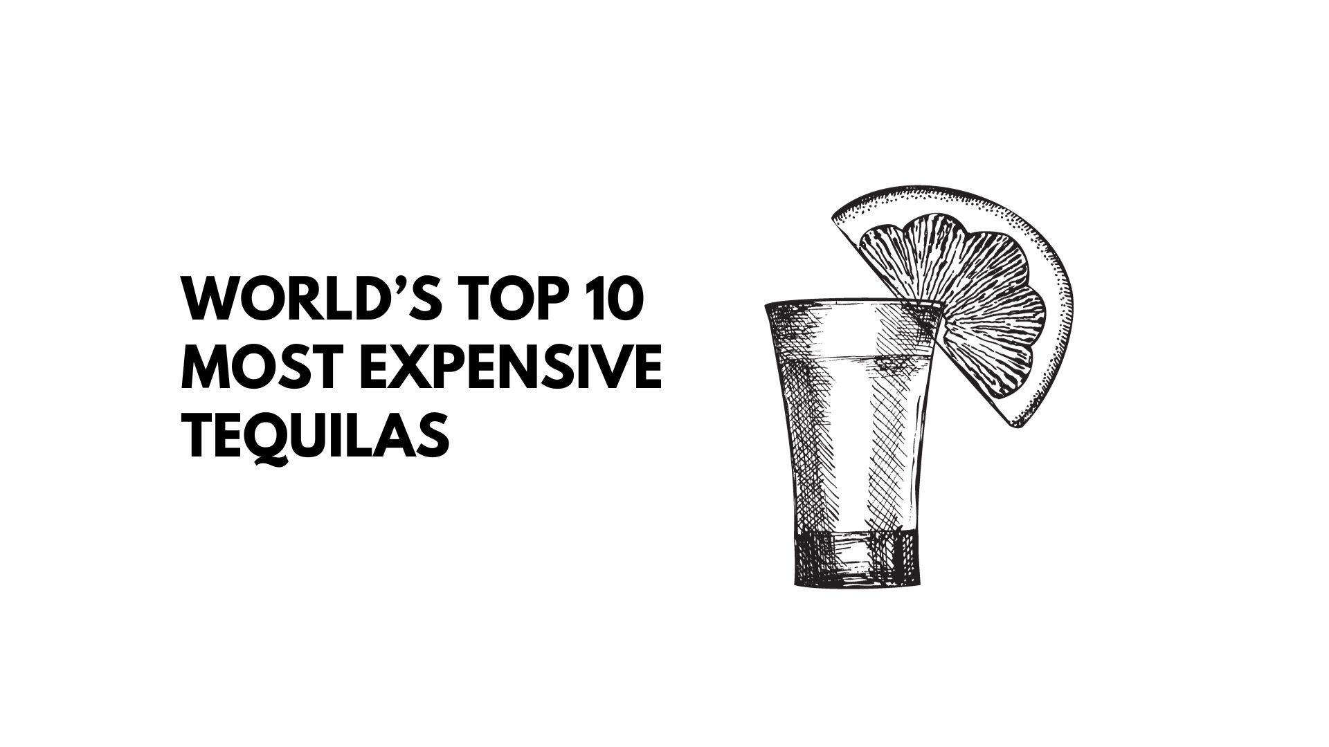 Top 10 Most Expensive Tequilas In The World 2024