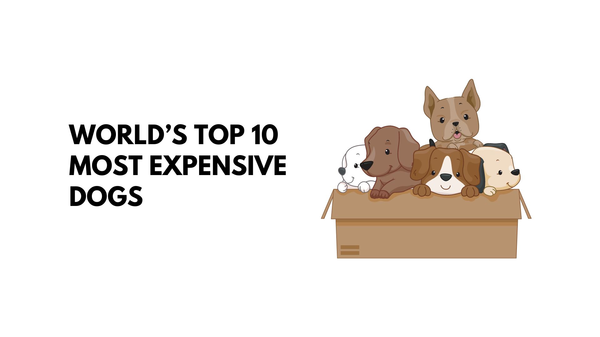 Top 10 Most Expensive Dogs Breeds In The World