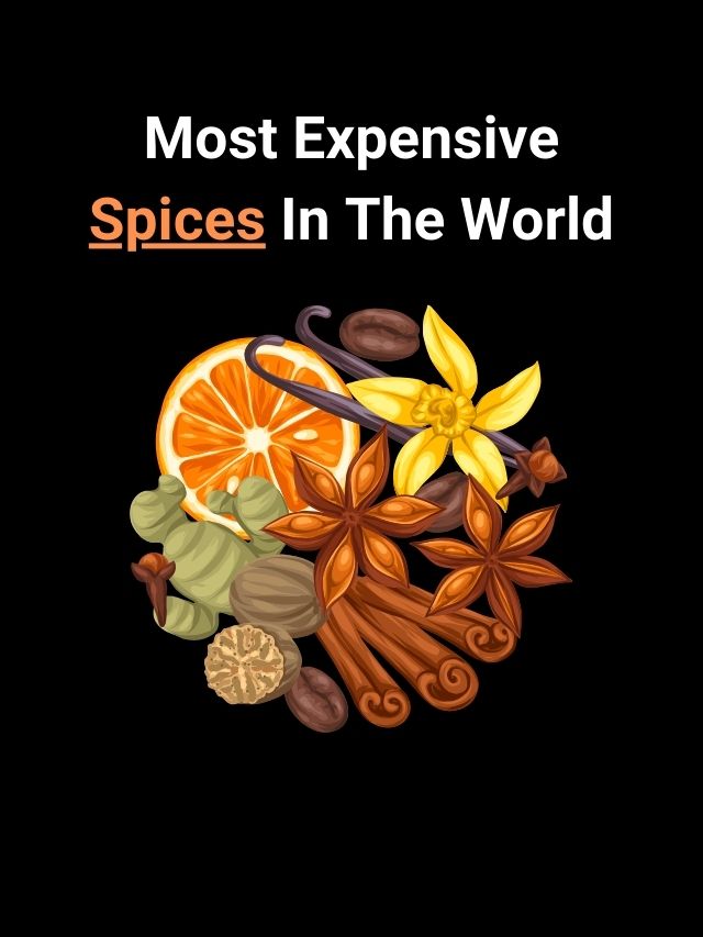 Most Expensive Spices In The World